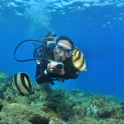 Bautismo de Buceo - Tu primer buceo en las islas.